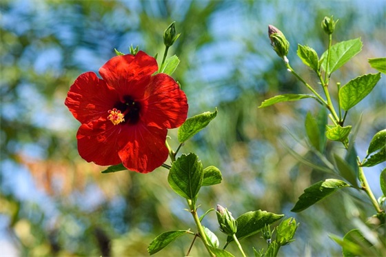 四月结束感慨 感慨四月的好句 四月结束感慨 感慨四月的好句