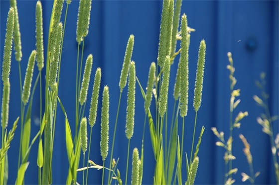 爱情好句摘抄大全流行 爱情好句大全