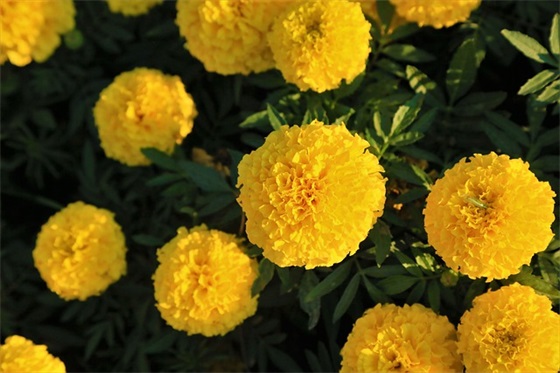 鲁滨逊漂流记好句短 鲁滨逊漂流记好句短