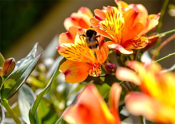 英语好句大全 英语好句积累