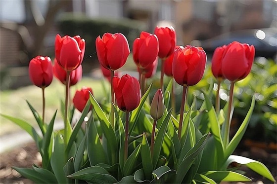 内心很强大的句子 描写自己内心强大的句子 内心很强大的句子 描写自己内心强大的句子