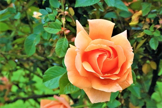 2026年安慰男人压力大的句子