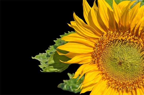 优秀伤感心情句子 失落伤感心情句子