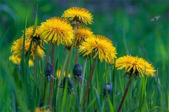 最新激励自己勇往直前的励志句子