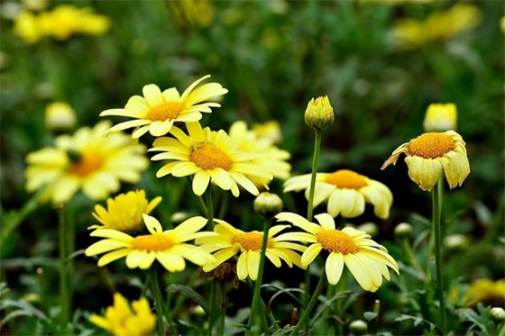 感悟生活的精辟句子 越早明白越好的人生道理