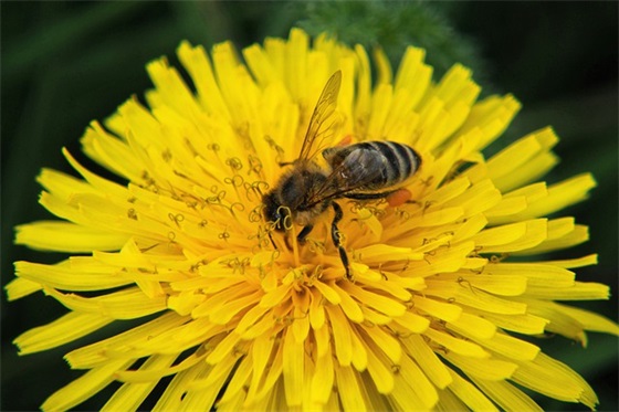 形容回忆时的伤感心情句子