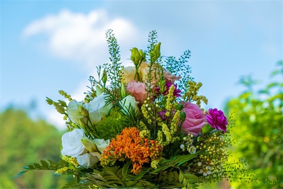 鼓励人自信强大的句子 鼓励人自信的句子