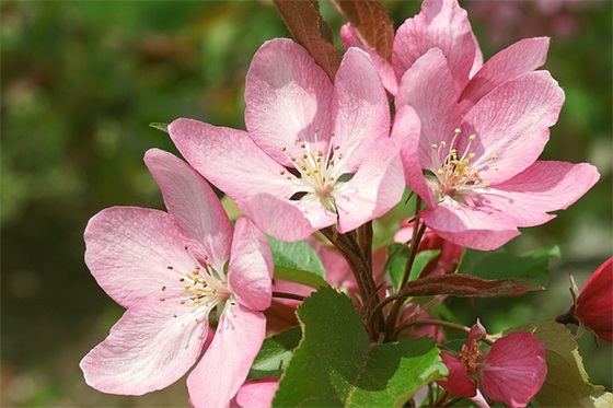 冬天注意保暖的暖心句子 天冷了大家注意保暖的句子