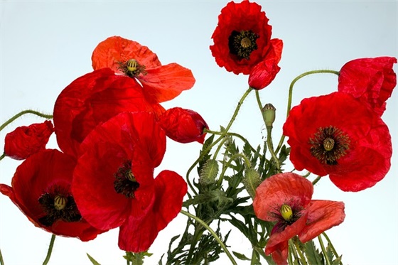 被最爱的人伤了心的句子