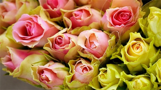 祝福员工生日的话