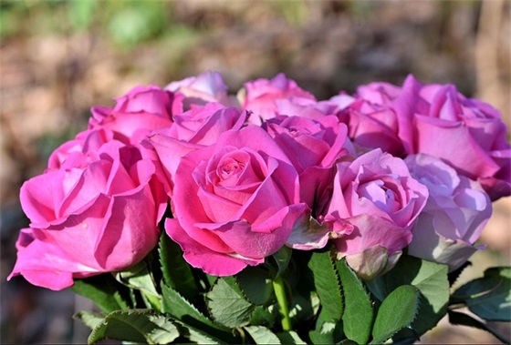 2026年正月初十祝福语25句