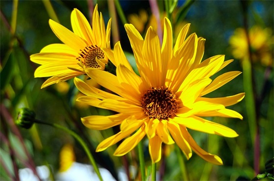 财运祝福语大全 财运祝福语大全 简短