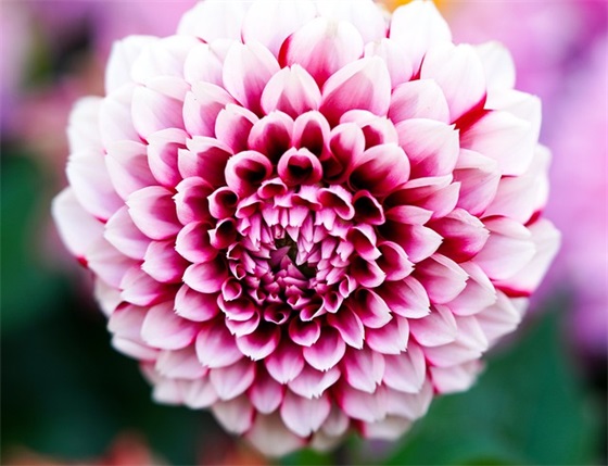 生日快乐祝福语老公 生日快乐祝福语老公的