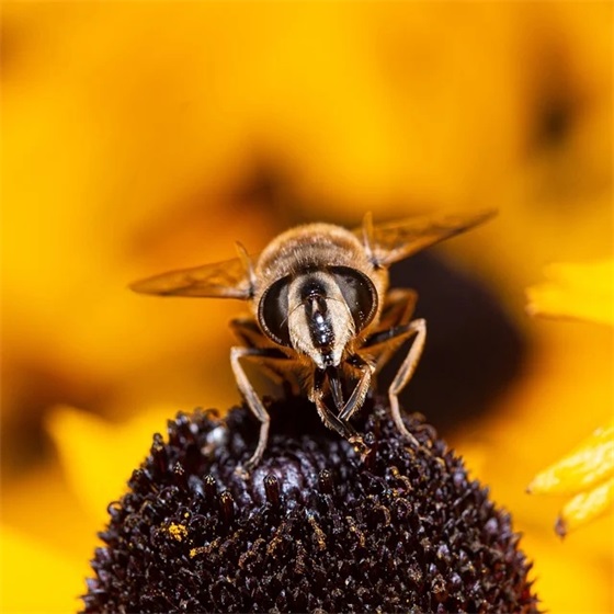 2026年国庆祝福语简短精辟句子