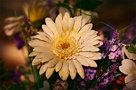 给侄子结婚祝福语 祝福侄子结婚祝福语