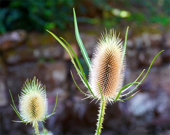 女儿16岁生日祝福语38句