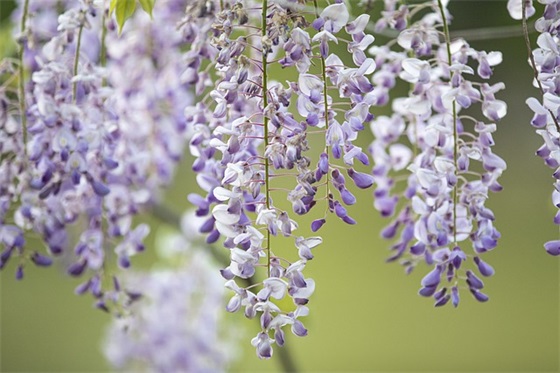 2026生日祝福文案简短 2026文案简短唯美