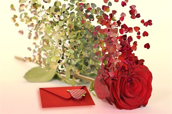 周末愉快祝福语 周末愉快温馨问候语