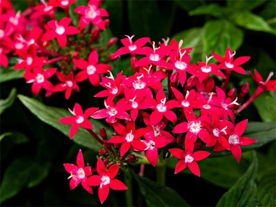 教师生日祝福语 教师生日贺卡祝福语简短