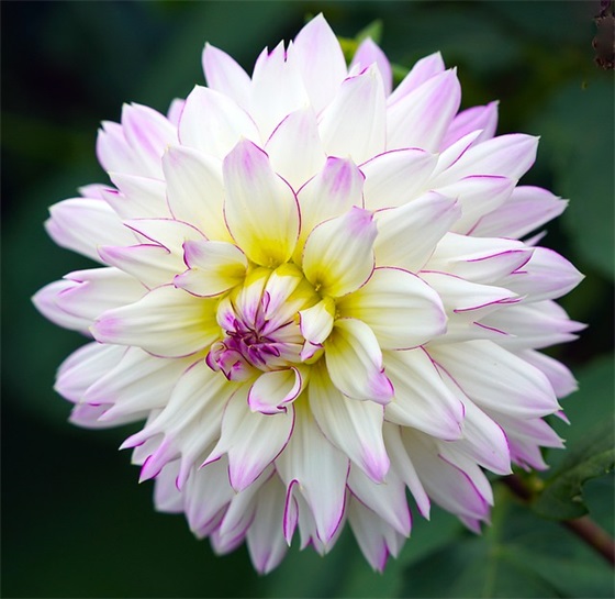 祝福病人的祝福语 祝病人祝福语