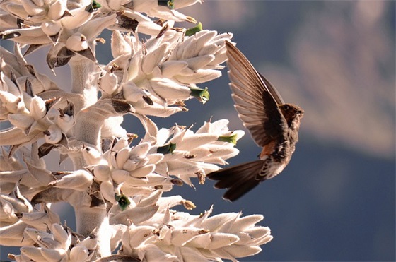 2026结婚的宴席祝福语