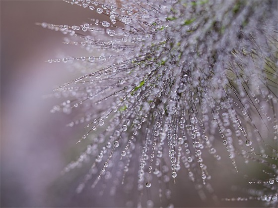 孩子的新年祝福语30句