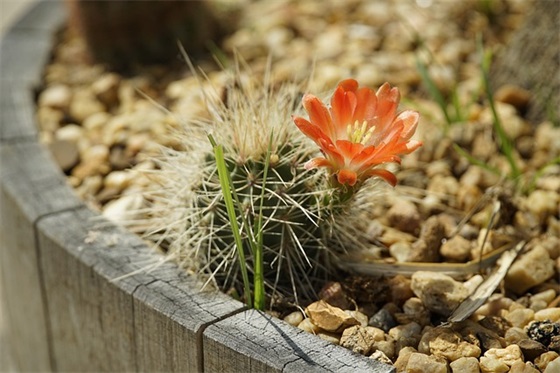 祝新人订婚快乐的祝福语