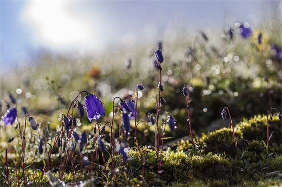 一天暖心话 开启美好一天的句子