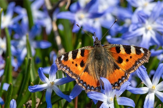 未来的励志句子 未来可期的正能量句子