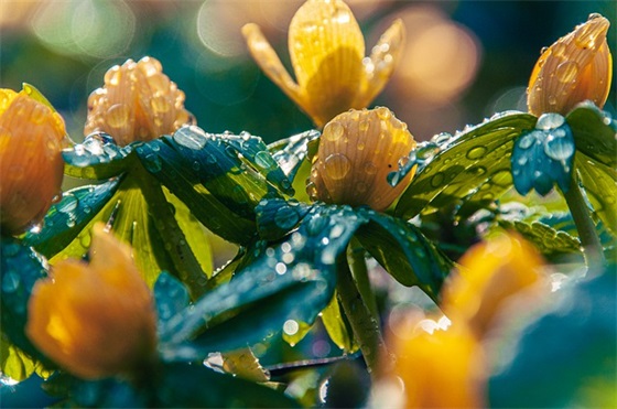 形容感慨万千的句子