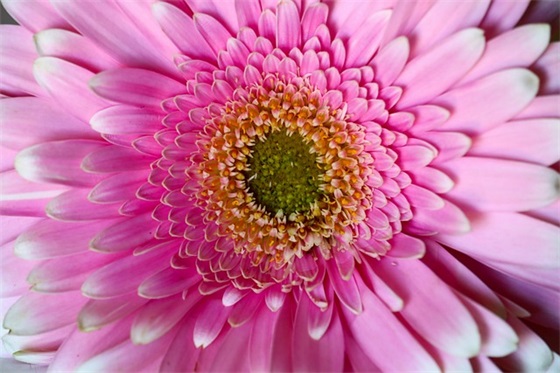 描写半夜突然醒来睡不着的句子 突然醒了的句子