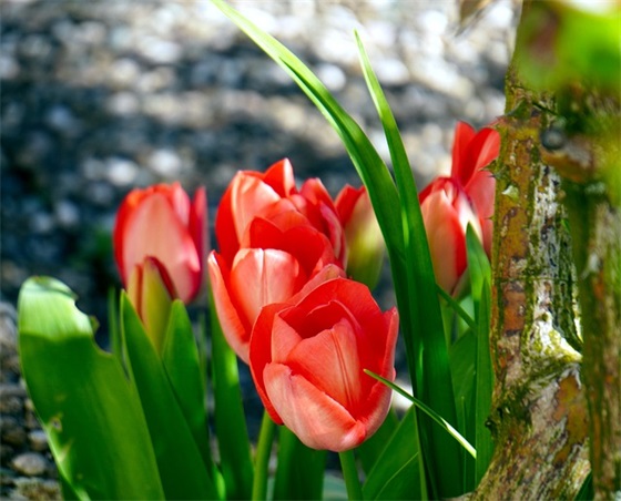 对人失望透顶的句子 对自私的人失望的句子