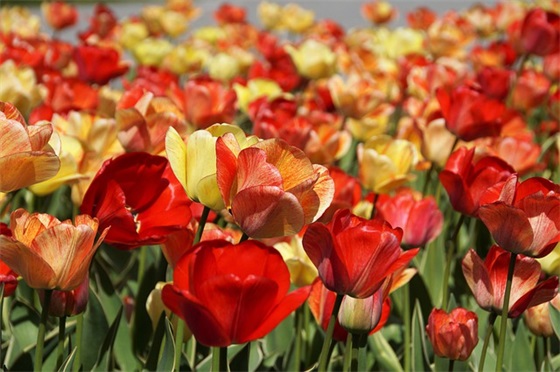 失去爱情或是疯狂思念人的QQ非主流伤感爱情句子