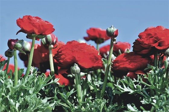 正能量励志句子摘录