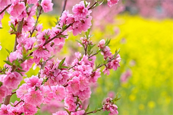 最心酸委屈伤感的话 心里伤心难过的句子