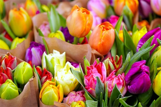 祝福恋人的句子