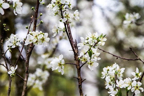 中考共同努力的励志短语大全 中考励志句子简短