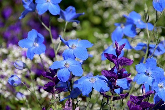 单身想找女朋友的句子