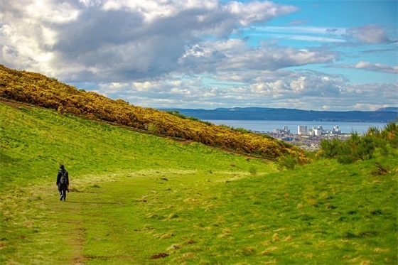 笙离的爱情句子