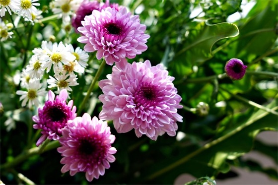 不理就别去打扰的句子励志