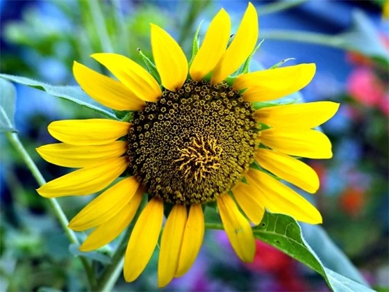 2026最新鼓励人的励志句子