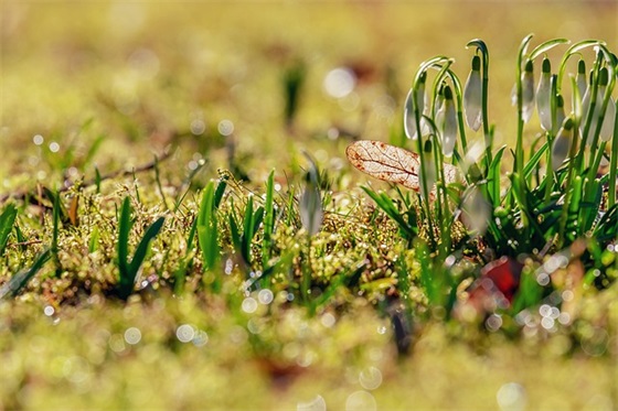 病人出院说什么祝福语 病人出院的祝福语