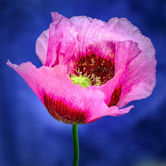 洒店开业的祝福语