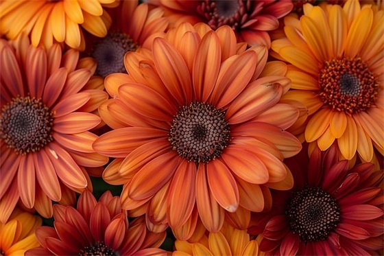 2026给中考壮行的祝福短信