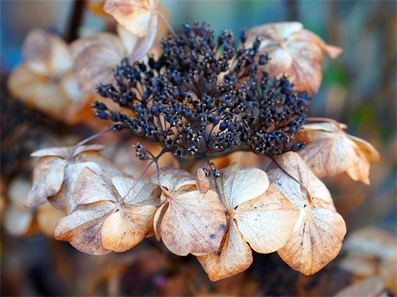 八字简短祝福语126句