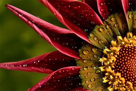 亲姐结婚祝福语 姐姐结婚弟弟祝福语