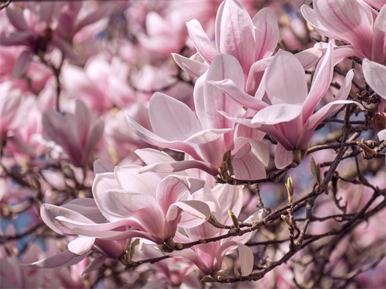 关于2026中秋节祝福语