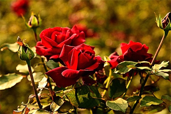 同学告别的祝福语30句