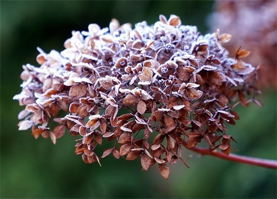 青年节祝福语简短一点 五四青年节祝福语大全