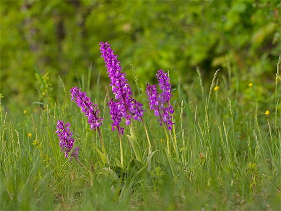 道晚安的古风句子 古风晚安句子大全